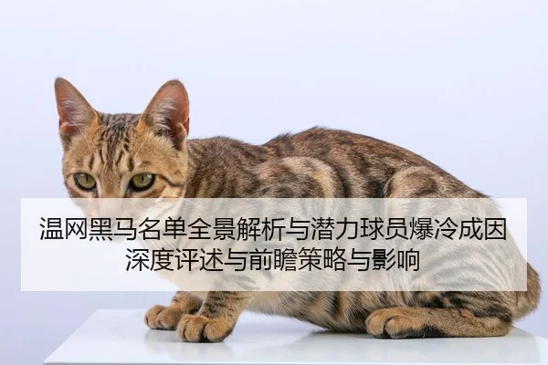 温网黑马名单全景解析与潜力球员爆冷成因深度评述与前瞻策略与影响