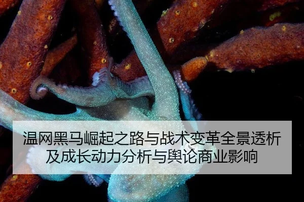 wen-wang-hei-ma-jue-qi-zhi-lu-yu-zhan-shu-bian-ge-quan-jing-tou-xi-ji-cheng-zhang-dong-li-fen-xi-yu-yu-lun-shang-ye-2-942.jpg